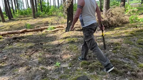 Using a small tourist hand saw in the hike. Video stock 243651819
