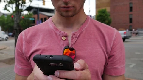 Using a smart phone outside in a city down town area Stock Footage 76506851