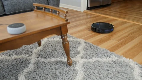 Using Smart Speaker to Turn On Robot Vacuum Vídeo Stock 114038141
