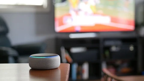 Using Smart Speaker to Turn of TV with Voice Control Vidéo 99521011