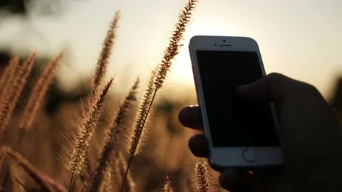 Using Smartphone In The Morning Stock Footage 239019996