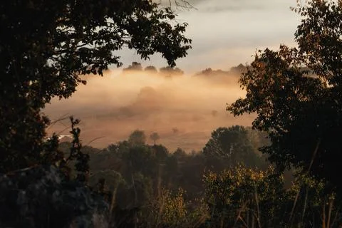 Using some trees for natural frame capturing a fog rushing over the hills. Stock Photos
