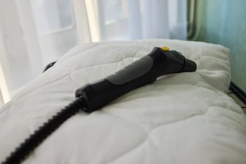Using Steam Cleaning Techniques to Maintain Freshness and Hygiene for Your Stock Photos