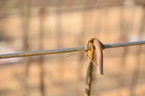 Using steel wire for securing steel bars Foto stock
