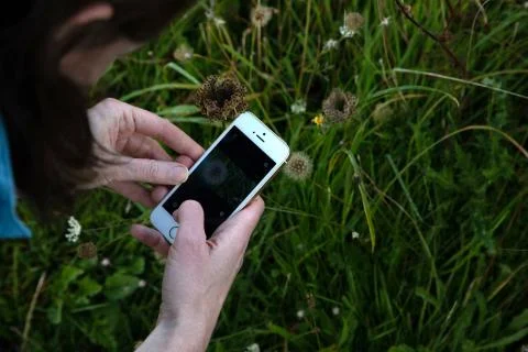 Using technology - taking a photography using a smart phone whilst out on a walk Stock Photos