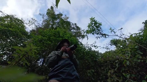 Using telephoto camera lens while photographing wildlife in a dense green f.. 動画素材 338033593