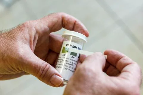 Using a test strip to read the pH during winemaking Stock Photos