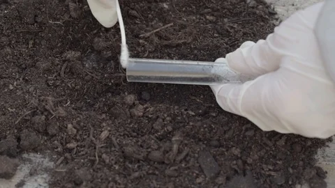 Using a test tube to collect soil sample Stock Footage 105778049
