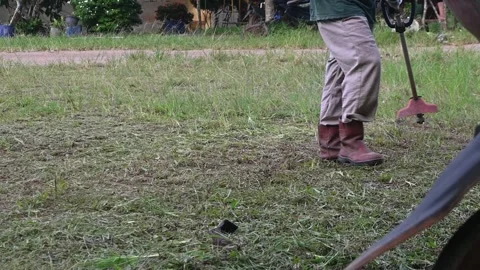 Using trimmer Stock Footage 296092332