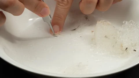 Using Tweezers To Separate Feathers From Bird Nest Strands 库存影片 339370687