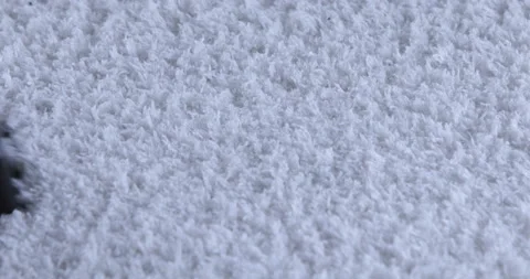 Using vacuum cleaner cleaning white carpet in living room Stock Footage 128905558