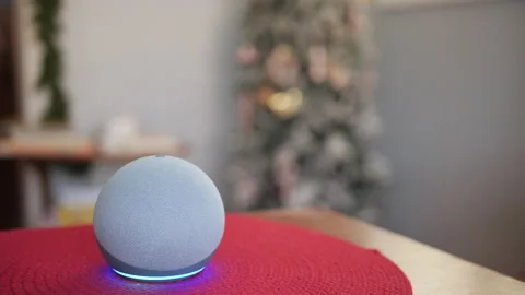 Using Voice Commands to Turn Holiday Decorations On and Off Stock Footage 166920558