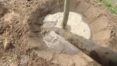 Using watering can after planting tree planting Video stock 219225093