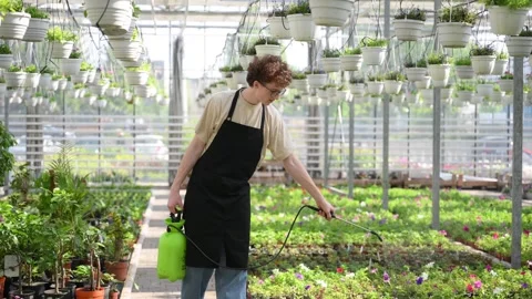 Using the watering device on plants. Stock Footage 243579540