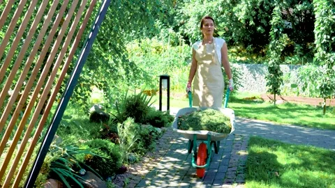 Using wheelbarrows in gardens. Female farmer in garden apron rolls a wheelbarrow Stock Footage 220495336