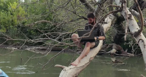 Using work laptop on the beach, sitting on a tree Stock Footage 312650870