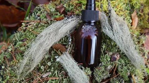 Usnea barbata or old man's beard or beard lichen tincture concept. Stock Footage 163173042