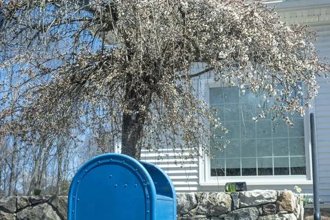 USPS Mailbox in Front of Local Post Office with Spring Blossoms Stock Photos