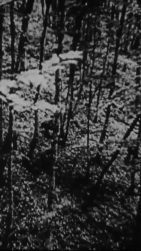 USSR - 1941 - In this Frank Capra documentary, Russian guerrilla armies Stock Footage 338416580