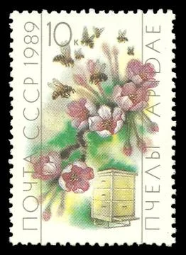 USSR Beekeeping, Honeybee Stock Illustration