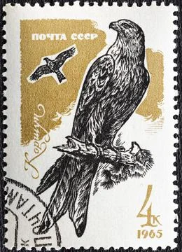 USSR-circa 1965: Postage stamp printed in Soviet Union shows Red Kite Milvus  Stock Photos