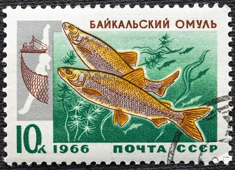 USSR - CIRCA 1966: Postage stamp issued in the Soviet Union with the image of Stock Photos