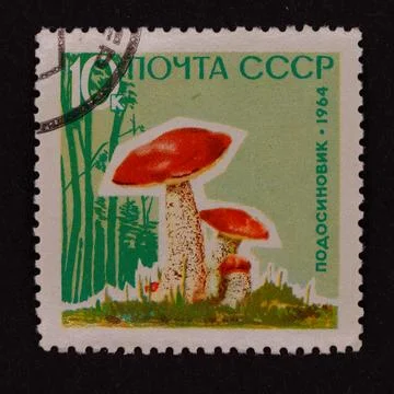 USSR Postage Stamp with Three Red Mushrooms, 1964 Stock Photos