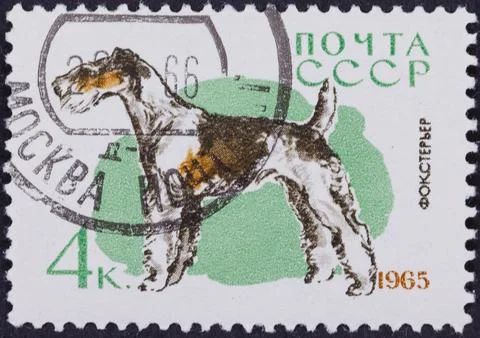 USSR Stamp Featuring Wire Fox Terrier Stock Photos