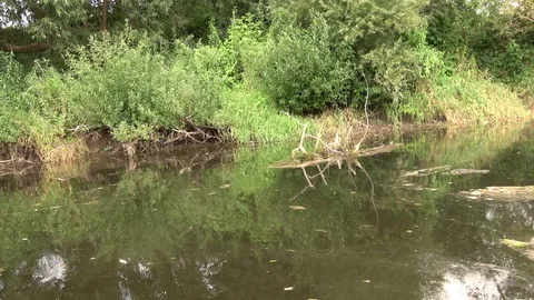 Usvyacha River. Flows into the river Western Dvina. 2 Stock Footage 100750229