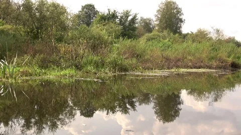 Usvyacha River. Flows into the river Western Dvina. 4 Stock Footage 100750531