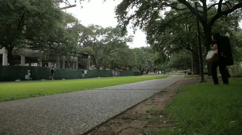 UT College Students Walking Stock Footage 513558