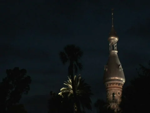 UT Minaret &amp; Palm Stock Footage 285940