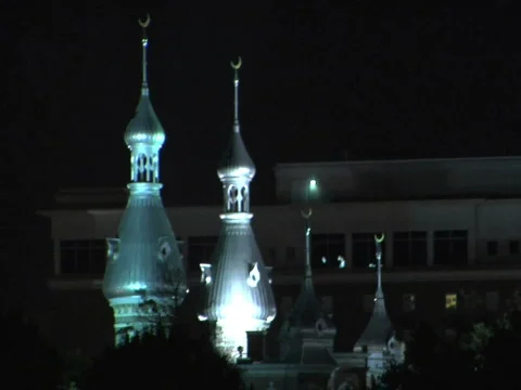 UT Minarets at Night Stock Footage 285942