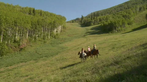 UT PC Horses Meadow 2 Stock Footage 866563