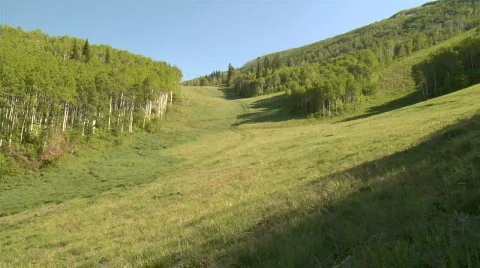 UT PC Horses meadow 4 Video stock 866524