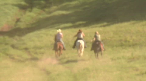 UT PC Horses meadow 5 Stock Footage 866499