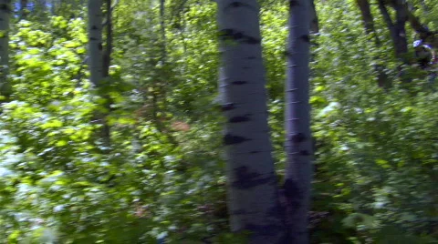 UT PC Steadicam biking 1 Stock Footage 866282