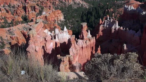 Utah Bryce detail Stock Footage 134480674