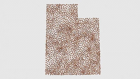 Utah Coffee Beans Stock Footage 148010159