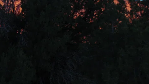 Utah Driving During Sunrise Stock Footage 320364718