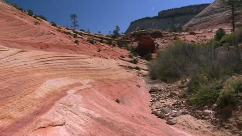 Utah Eroded Slickrock Topography Pattern In Zion National Park Stock Footage 207975129