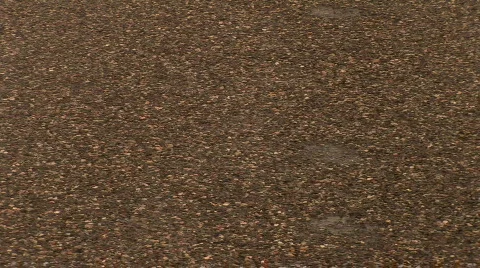 Utah Video stock 827558