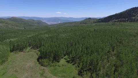 Utah Forest Near Bald Eagle Mountain Ski Resort Utah Aerial View Stock Footage 128980557