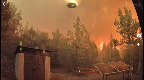 Utah Juniper Forest Fire Claims Cabin, Fish Lake National Forest, Utah, USA - 03 Vídeo Stock 341701753