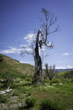 Utah landscape Foto stock