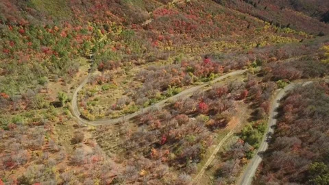 Utah Mountain Valley- Full Fall Foliage 库存影片 139839341