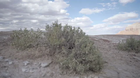 Utah remote campsite Video stock 131720766