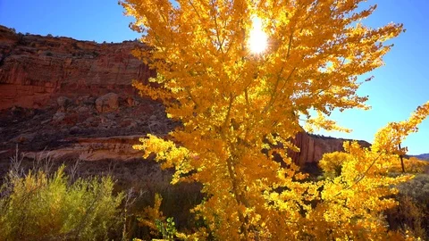 Utah roadside Fall Stock Footage 102792163