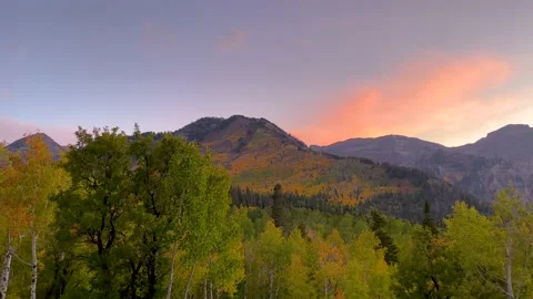 Utah Snow basin Stock Footage 163368069