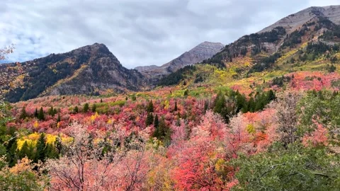 UTAH TIMPANOGOS Stock Footage 163368076